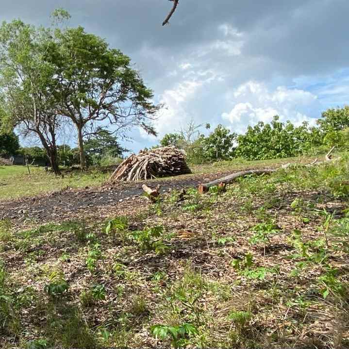 dijual tanah melangkaja goa gong