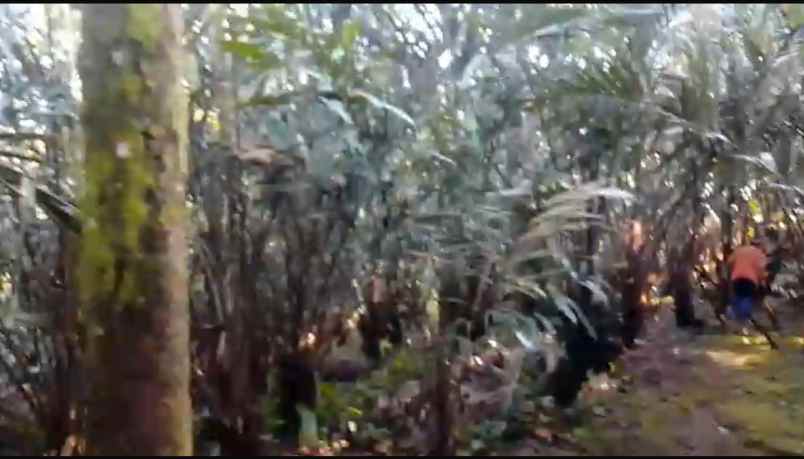 dijual tanah munduk temu kec pupuan