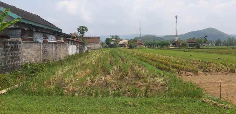 dijual tanah murah ditengah kota pacitan