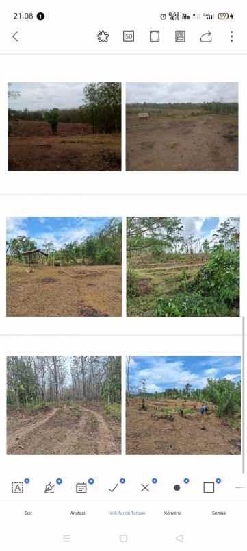 dijual tanah murah kab pandeglang