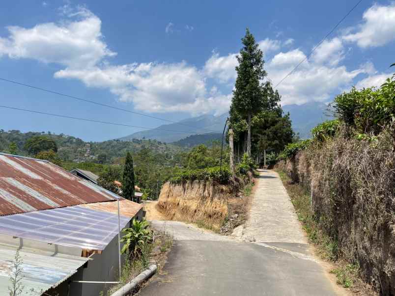 dijual tanah ngargoyoso karanganyar