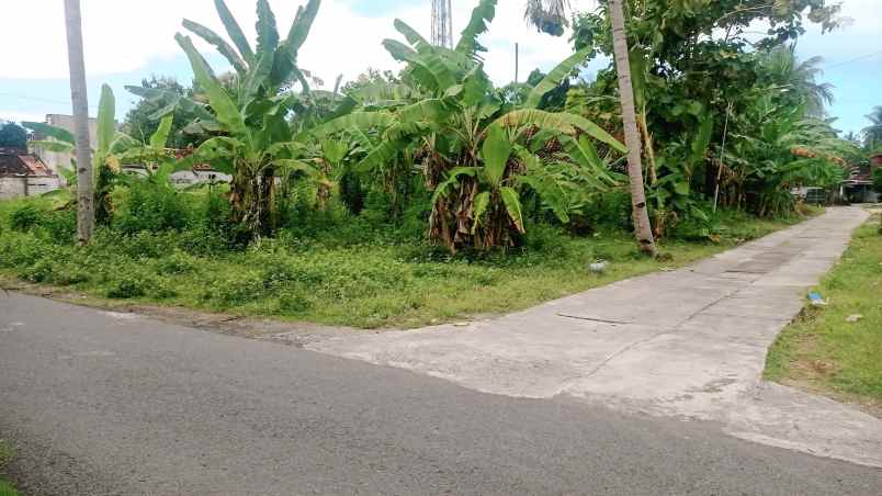 dijual tanah pengasih kulonprogo