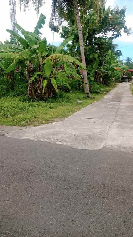 dijual tanah pengasih kulonprogo