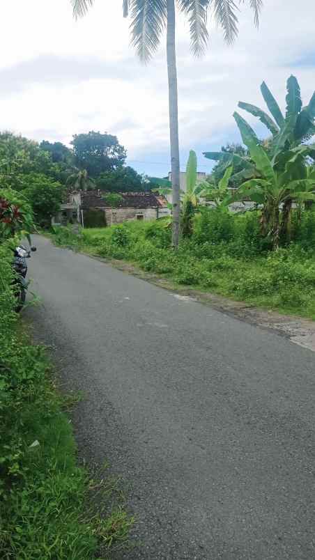 dijual tanah pengasih kulonprogo
