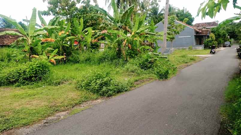 dijual tanah pengasih kulonprogo