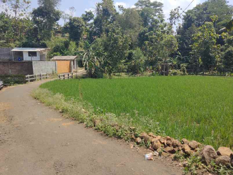 dijual tanah sawah pinggir jl desa di pancalang