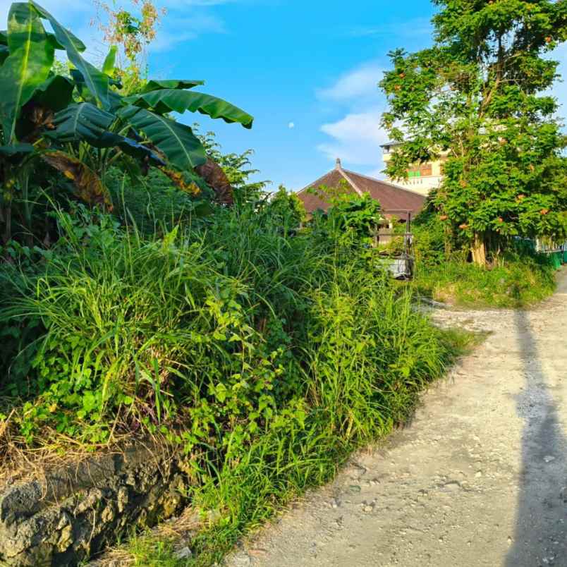 dijual tanah sidakarya