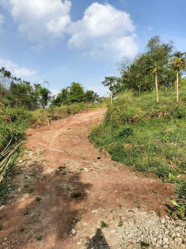 dijual tanah sipatahunan