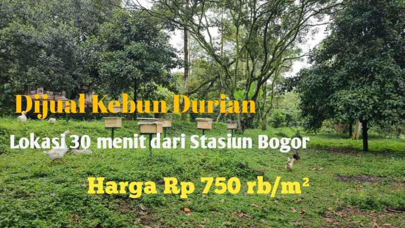 dijual tanah tamansari