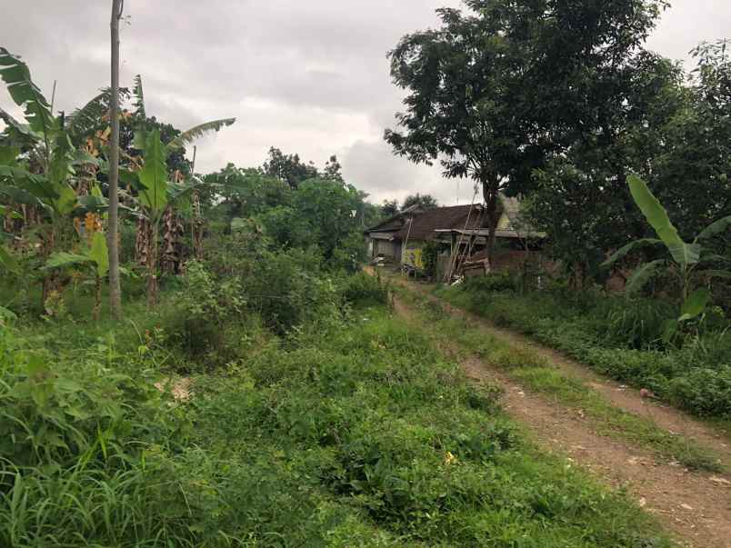 dijual tanah tanjungsari tanjungarum