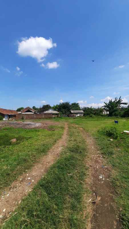 dijual tanah tanjungsari tanjungarum