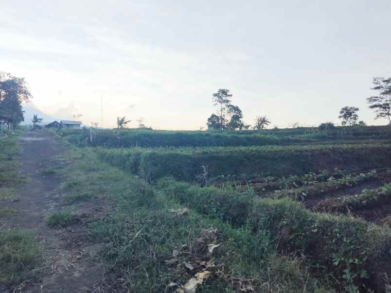 dijual tanah view gunung akses jl mobil