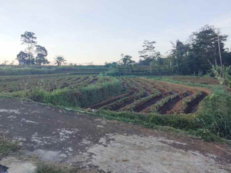 dijual tanah view gunung akses jl mobil