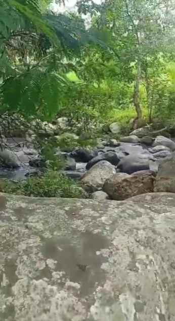 dijual tanah wanagiri kauh selemadeg
