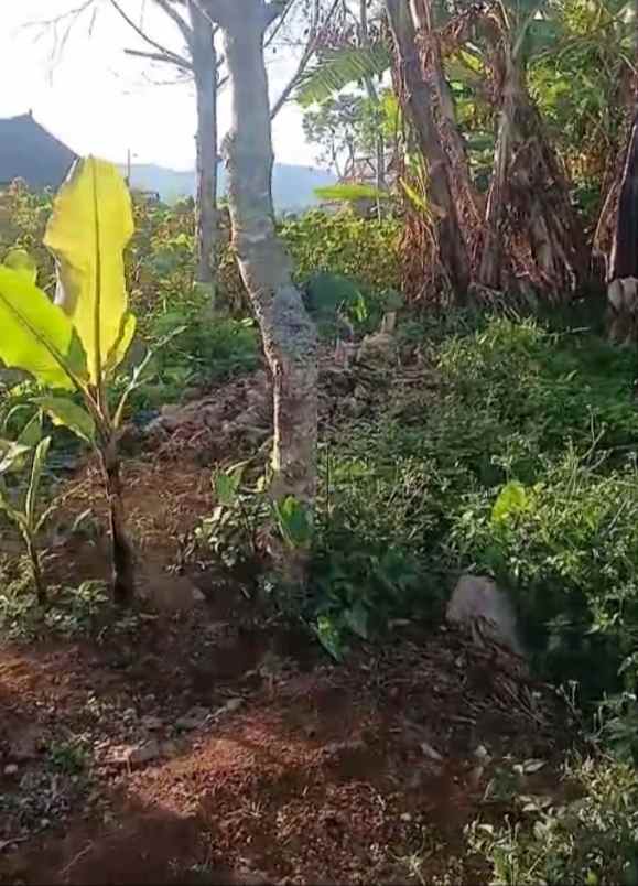 dijual tanah wanagiri singaraja bali