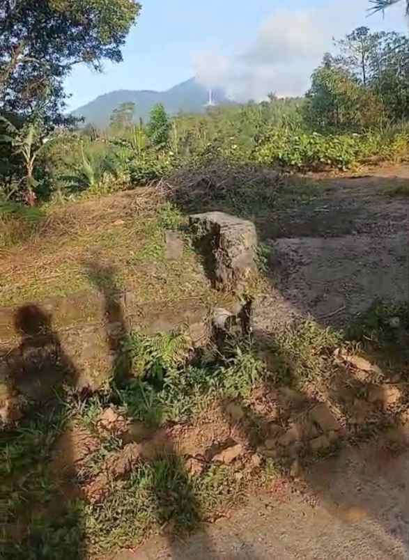 dijual tanah wanagiri singaraja bali