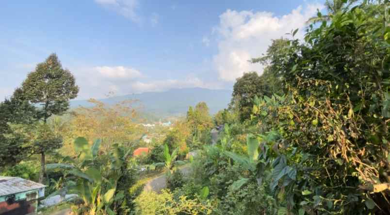 dijual tanah wanayasa