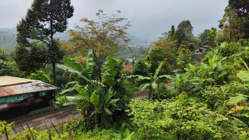 dijual tanah wanayasa