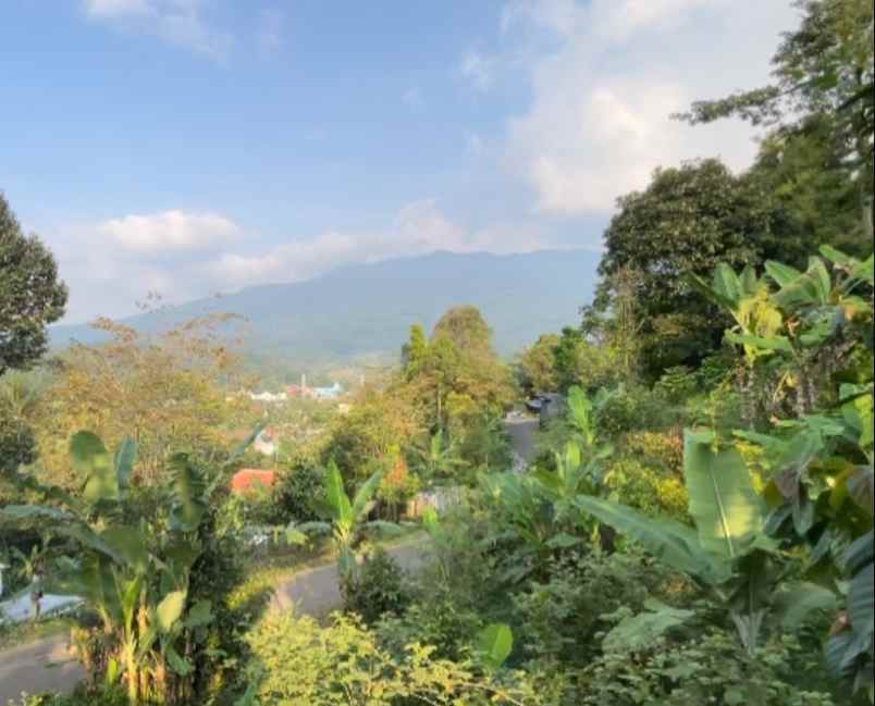 dijual tanah wanayasa