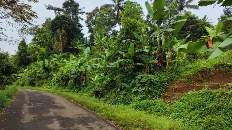 dijual tanah wanayasa