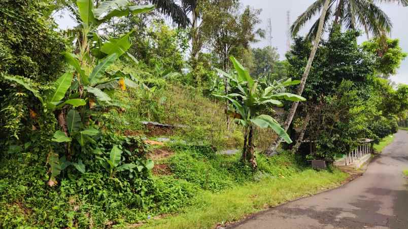 dijual tanah wanayasa