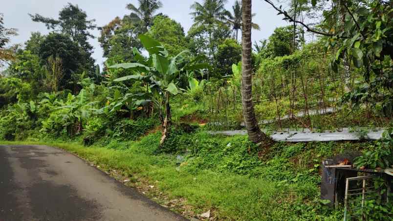 dijual tanah wanayasa