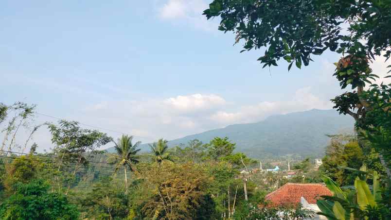 dijual tanah wanayasa