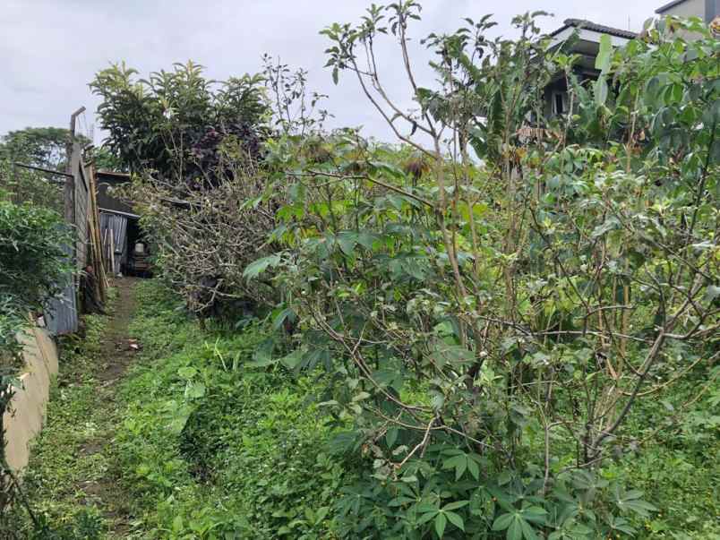 dijual villa eksklusif di batu suasana asri dan sejuk