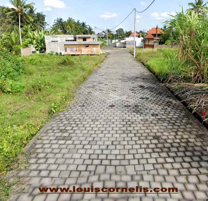 dijual villa kedungu kediri tabanan bali