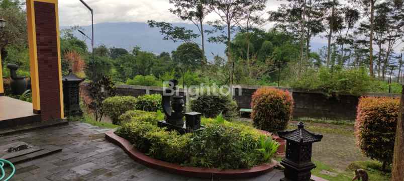 dijual villa villa agrowisata