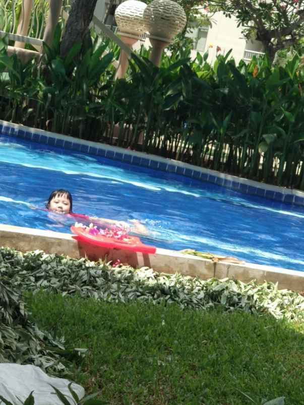 disewakan apartemen puncak dharmahusada