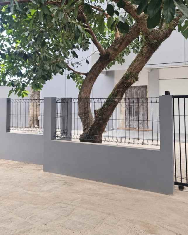 disewakan kost kost pengeran daim saleh