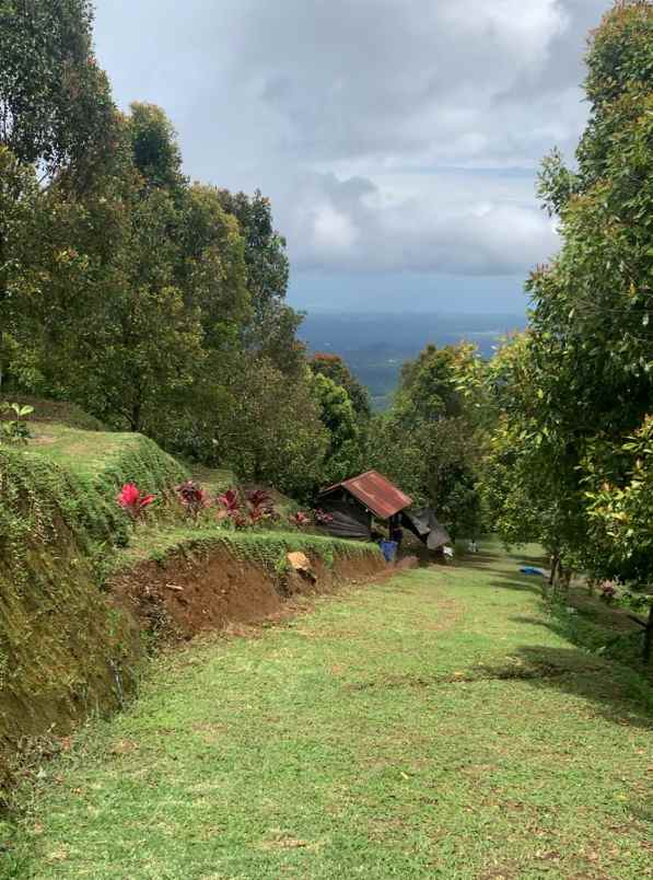disewakan tanah desa lemukih buleleng bali