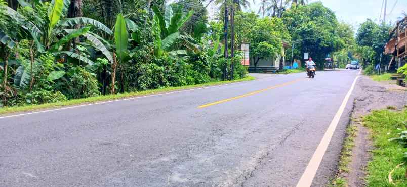 disewakan tanah jalan raya padang bai