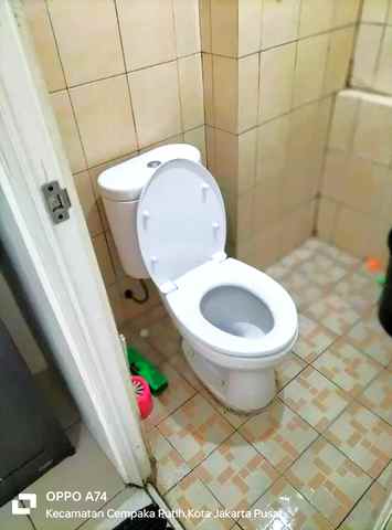 green pramuka studio ff include ipl 2ftwyudha0