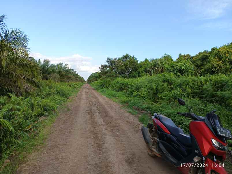 jual tanah sangat cocok untuk sawit