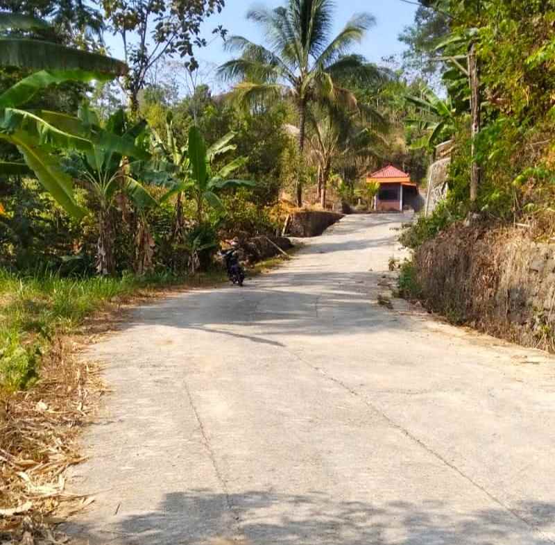 kebun durian produktif ngargoyoso karanganyar