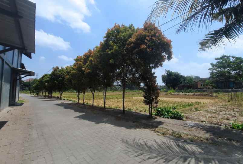 mini kavling jombor 500 meter jl magelang