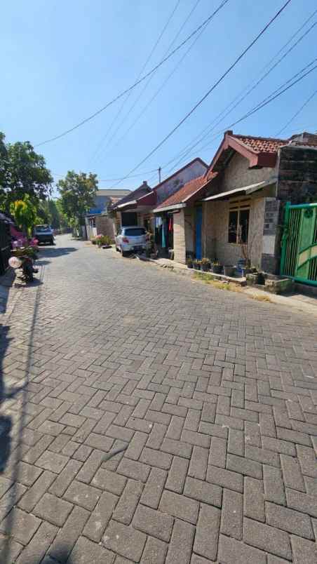rumah jumbo ngantong daerah prapen tenggilis mejoyo