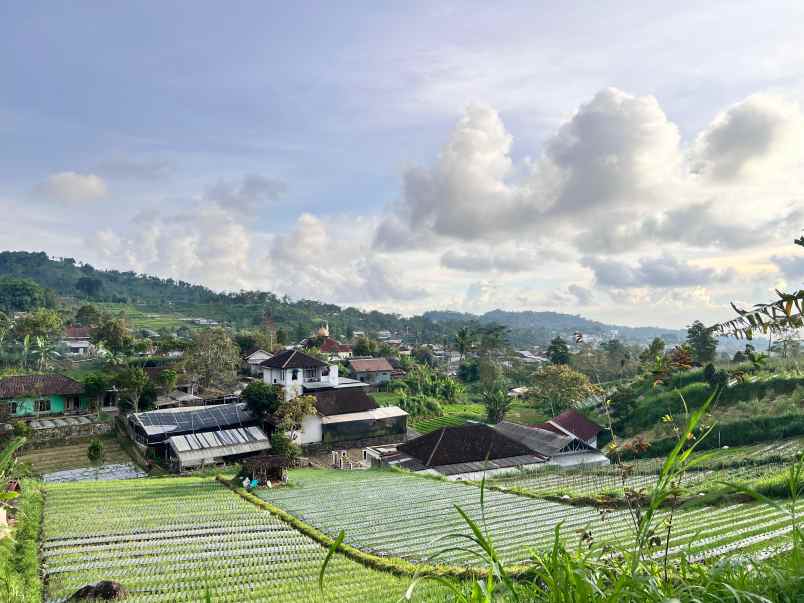 tanah 1285m view istimewa kawasan wisata ngargoyoso