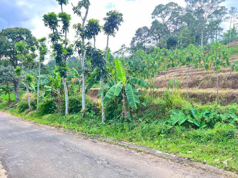tanah 4121m view hamparan sawah karanganyar