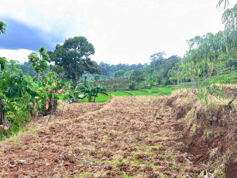 tanah 4121m view hamparan sawah karanganyar