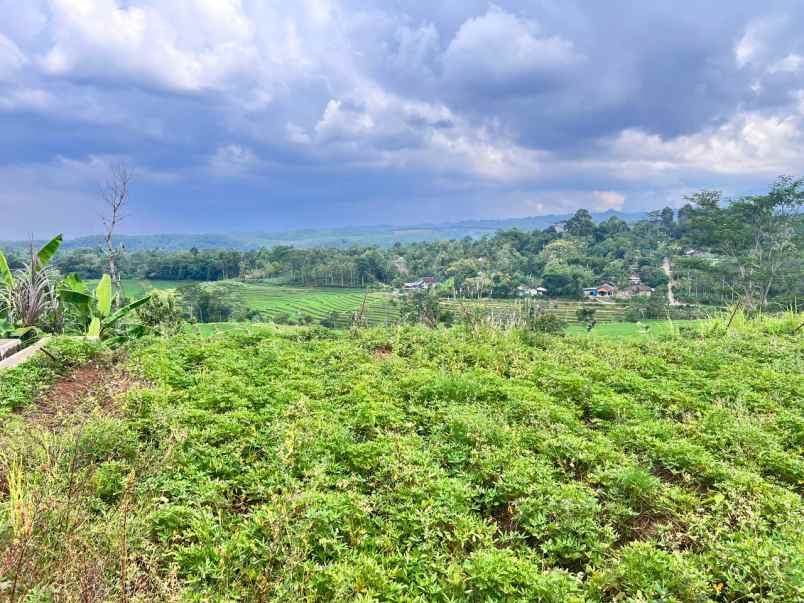 tanah 4121m view hamparan sawah karanganyar