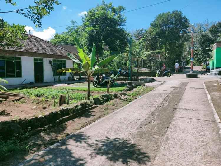 tanah batujamus kedawung sragen