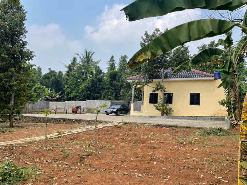 tanah dalung serang banten