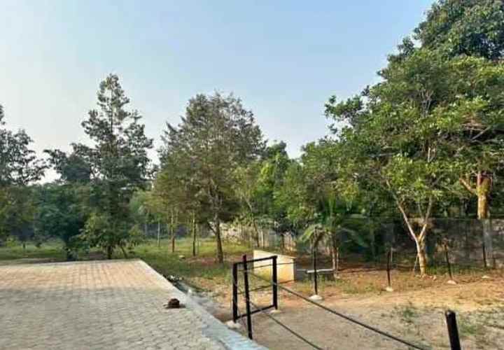 tanah dalung serang banten