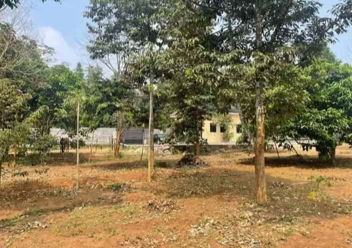 tanah dalung serang banten