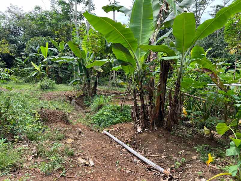 tanah datar 45 juta siap bangun kerjo karanganyar