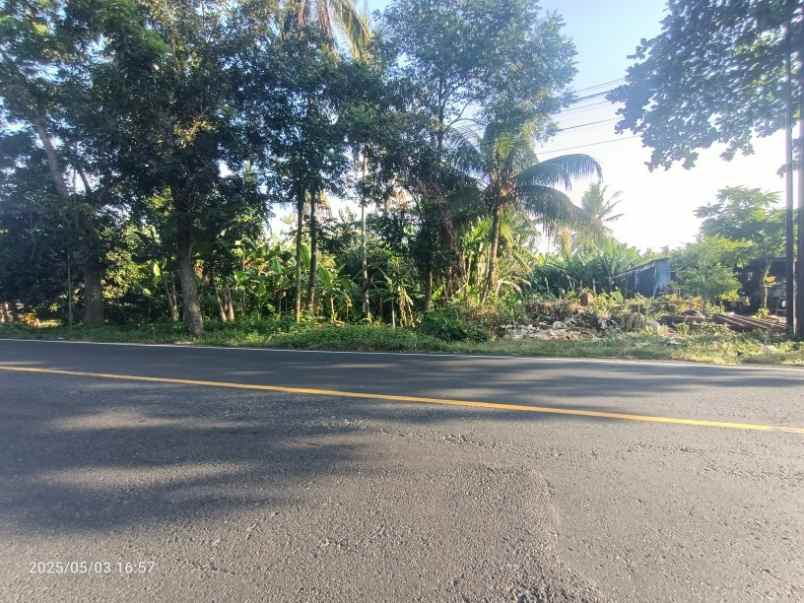 tanah dijalan utama dekat exit toll pekutatan bali