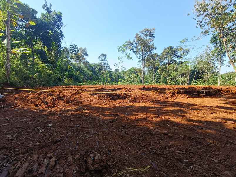 tanah dijual murah di gunungpati kota semarang